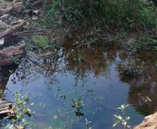 Instituto Água e Terra multou em R$ 25 mil a prefeitura de Cruz Machado pela utilização irregular de equipamentos do município para a prática de crimes ambientais