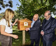 Palácio da Justiça ganha mais um jardim de mel do Poliniza Paraná