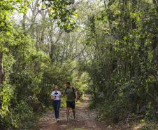 Mata dos Godoy: refúgio em meio à natureza na região Norte do Paraná