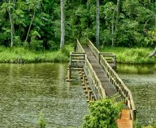 Mata dos Godoy: refúgio em meio à natureza na região Norte do Paraná