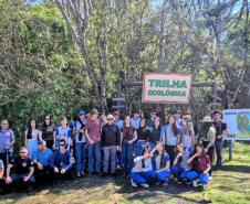 Paraná supera em 20% a distribuição de mudas nativas durante a Semana da Árvore