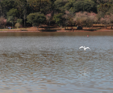 IAT emite licença ambiental para revitalização do Território Verde em Cascavel