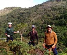 Para garantir a segurança dos quase 1,6 mil voluntários que ajudam na conservação ambiental do Paraná, o Instituto Água e Terra disponibiliza desde 2020 um seguro de vida para todas as pessoas cadastradas nas diferentes frentes de atuação
