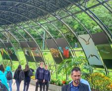 Exposição “Fauna da Mata Atlântica” entra em cartaz no Jardim Botânico de Curitiba