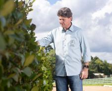 A Fazenda Pau Furado, localizada em Teixeira Soares, nos Campos Gerais, possui a certificação internacional RTRS.