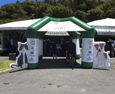 Com previsão de 105 mil castrações, maior ciclo do CastraPet começa nesta quinta