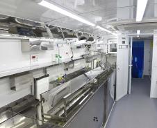 Com previsão de 105 mil castrações, maior ciclo do CastraPet começa nesta quinta