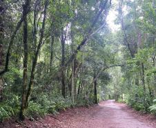 Da maior à mais aquática: um tour sobre as curiosidades das Unidades de Conservação