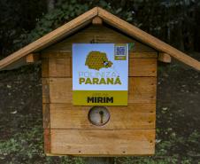 MON recebe três casas de abelhas nativas sem ferrão do Projeto Poliniza Paraná