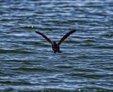 IAT divulga selecionados para novo ciclo do Programa de Conversão de Multas