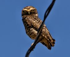 IAT divulga selecionados para novo ciclo do Programa de Conversão de Multas