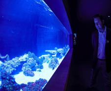 Novo atrativo: Foz do Iguaçu ganha um dos maiores aquários da América do Sul