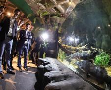 Novo atrativo: Foz do Iguaçu ganha um dos maiores aquários da América do Sul