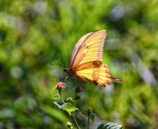 IAT divulga selecionados para novo ciclo do Programa de Conversão de Multas