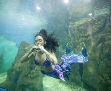 Aquário de Paranaguá terá novos animais e atrações especiais para a temporada