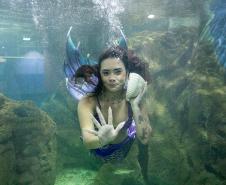 Aquário de Paranaguá terá novos animais e atrações especiais para a temporada