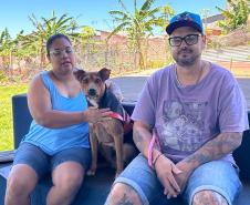 Mutirão do CastraPet Paraná vai passar por 20 municípios em dezembro 