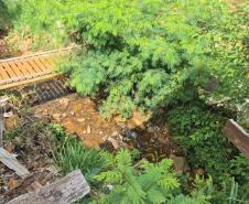 Operação em Laranjeiras do Sul aplica R$ 50 mil em multas por depósitos irregulares