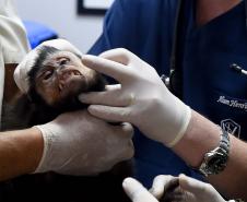 IAT assina convênio com a Prefeitura de Curitiba e amplia atendimento à fauna silvestre