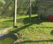 IAT reforça pronto atendimento à fauna silvestre do Litoral para a temporada de verão