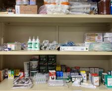 IAT reforça pronto atendimento à fauna silvestre do Litoral para a temporada de verão