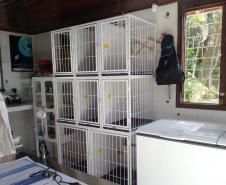 IAT reforça pronto atendimento à fauna silvestre do Litoral para a temporada de verão