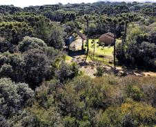 Trilhas do Salto São Francisco serão fechadas temporariamente para remoção de espécies exóticas