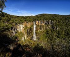 Trilhas do Salto São Francisco serão fechadas temporariamente para remoção de espécies exóticas