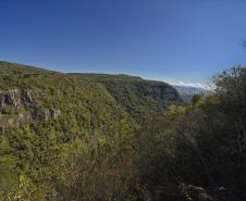 Trilhas do Salto São Francisco serão fechadas temporariamente para remoção de espécies exóticas
