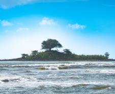 Bandeira verde: praias do Paraná têm 85% de águas próprias para banho