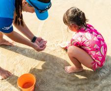 Bandeira verde: praias do Paraná têm 85% de águas próprias para banho