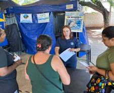 CastraPet Paraná: Estado reforça cuidados prévios para a esterilização de cães e gatos