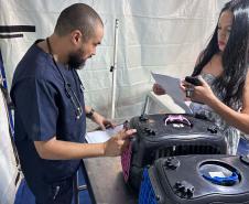 CastraPet Paraná: Estado reforça cuidados prévios para a esterilização de cães e gatos