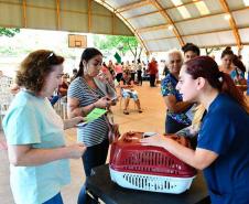 CastraPet Paraná: Estado reforça cuidados prévios para a esterilização de cães e gatos