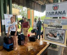 CastraPet Paraná: Estado reforça cuidados prévios para a esterilização de cães e gatos