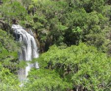 Estado divulga relação final de reservas naturais do edital de créditos de biodiversidade