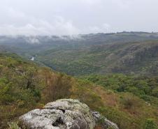 Estado divulga relação final de reservas naturais do edital de créditos de biodiversidade