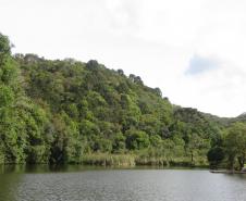 Estado divulga relação final de reservas naturais do edital de créditos de biodiversidade