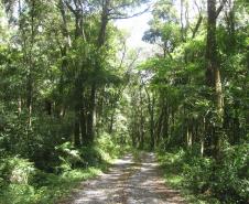 Estado divulga relação final de reservas naturais do edital de créditos de biodiversidade