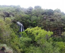 Estado divulga relação final de reservas naturais do edital de créditos de biodiversidade