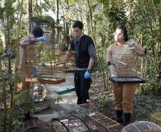 Governo do Estado prestou assistência a 4.552 animais silvestres entre janeiro e novembro de 2025. 