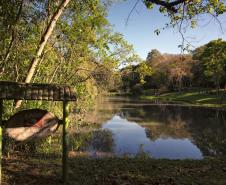 Mais de 660 mil pessoas visitaram as Unidades de Conservação e complexos ambientais vinculados ao Governo do Paraná em 2025, um crescimento de 12% em relação a 2024 