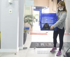 Governo do Estado prestou assistência a 4.552 animais silvestres entre janeiro e novembro de 2025. 