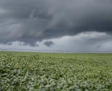 Janeiro terá muita chuva e calor dentro da média, afirma Simepar