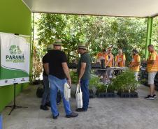“Um dia no viveiro” mobiliza comunidade litorânea para a educação ambiental 