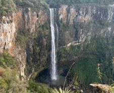 Pesquisa da Unicentro mapeia mamíferos silvestres em unidades de conservação