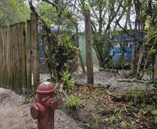 Obras de saneamento da Ilha do Mel alcançam 10% de execução, aponta IAT