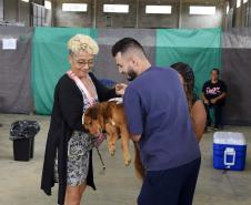CastraPet leva saúde e bem-estar a cães e gatos da Região Metropolitana de Curitiba