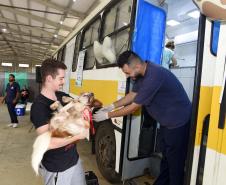 CastraPet leva saúde e bem-estar a cães e gatos da Região Metropolitana de Curitiba