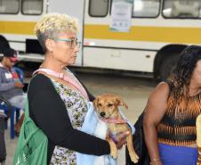 CastraPet leva saúde e bem-estar a cães e gatos da Região Metropolitana de Curitiba